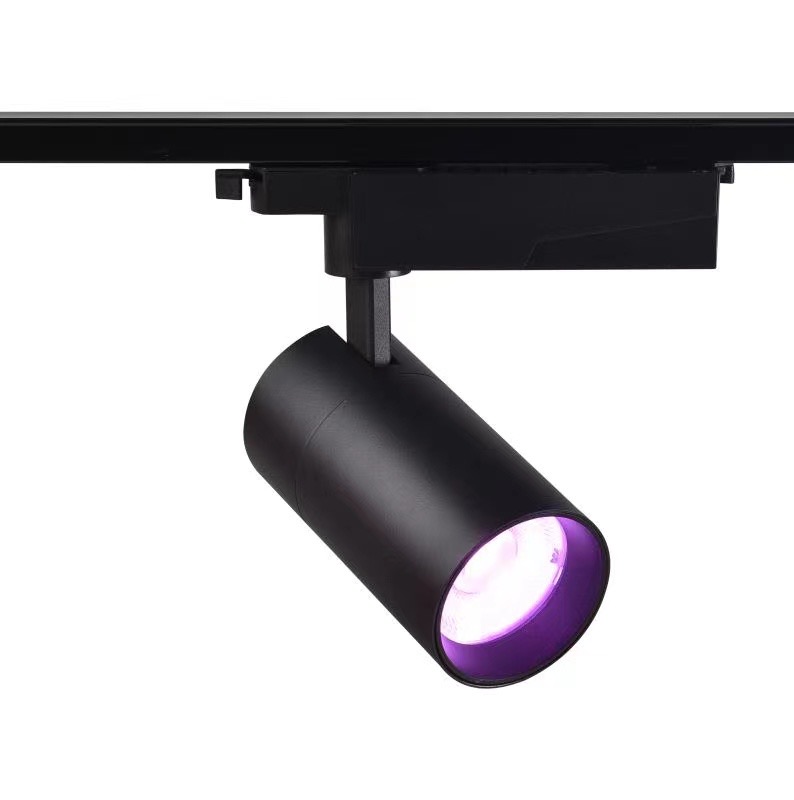 Track Light